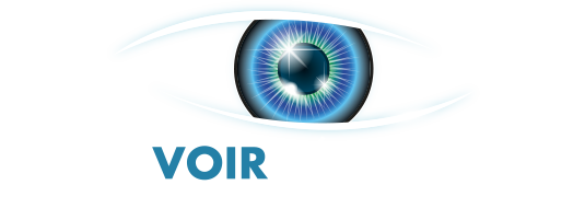 logo Voir Media